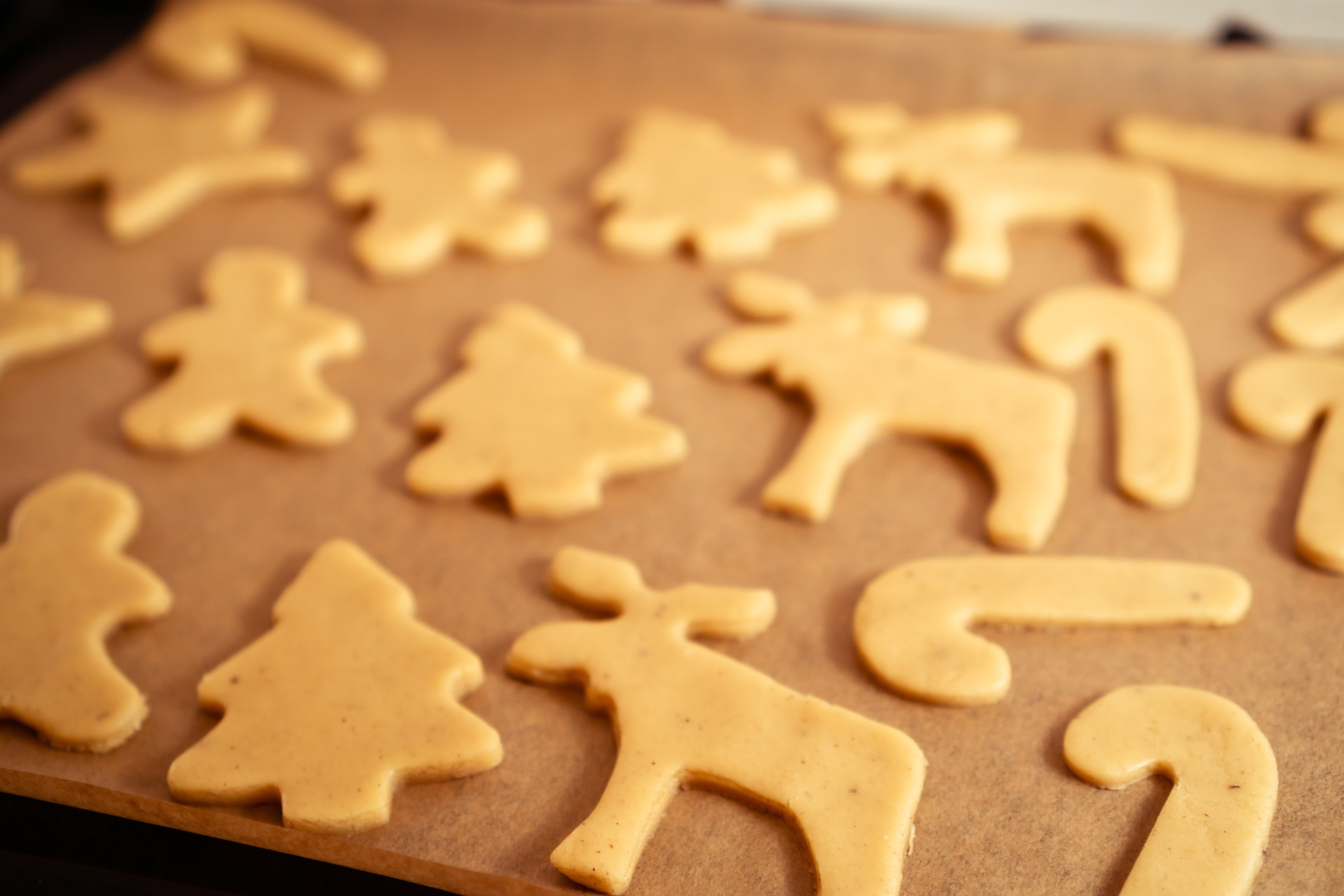 Holiday Sourdough Cookie Workshop